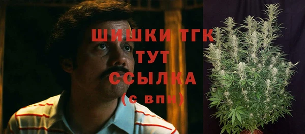 стаф Елизово
