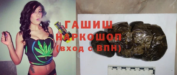 стаф Елизово