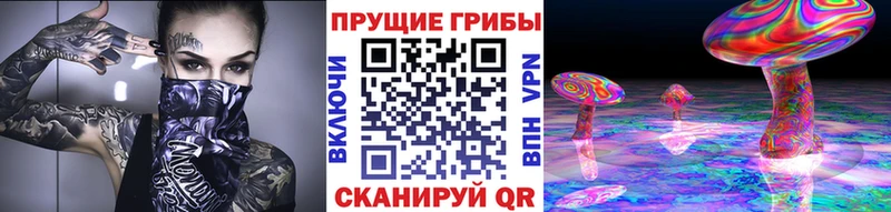 Псилоцибиновые грибы MAGIC MUSHROOMS  Купить где  Нарткала 